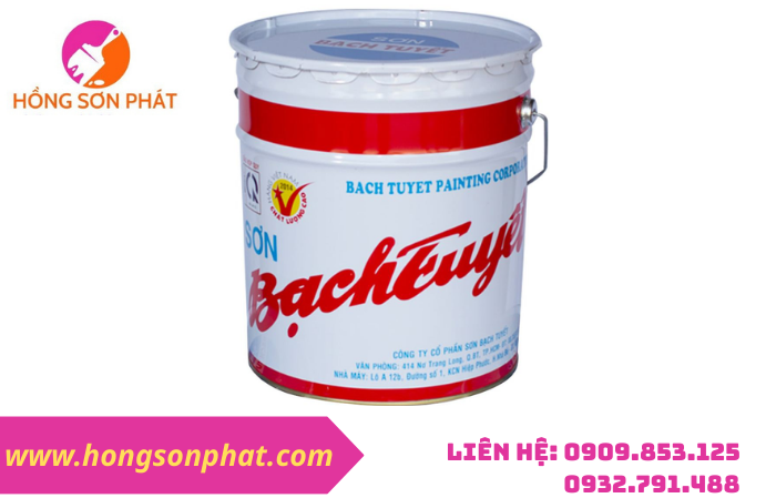 Cửa Hàng Sơn Dầu Bạch Tuyết Chính Hãng Giá Rẻ Nhất HCM 2026